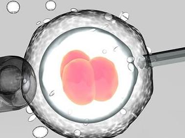 试管婴儿费用大概要多少钱