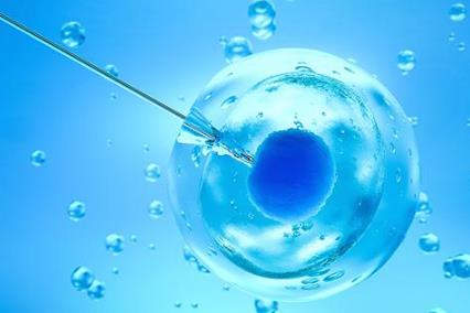 试管婴儿的全部流程