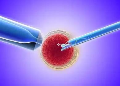 试管婴儿移植前注意事项