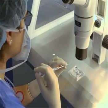 上海代妈哪里找